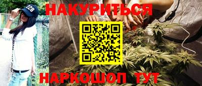 трава Бийск